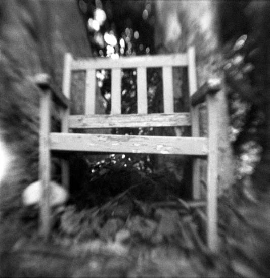 Graveside Seating San Anselmo CA by Stephanie Lakos